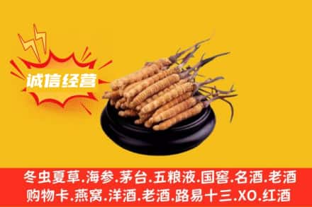 濮阳回收冬虫夏草